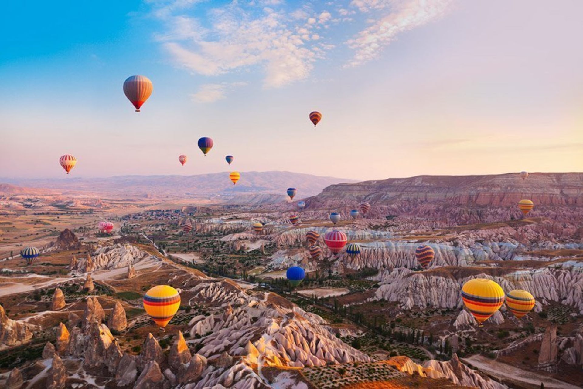 Contacto Go to Turkey